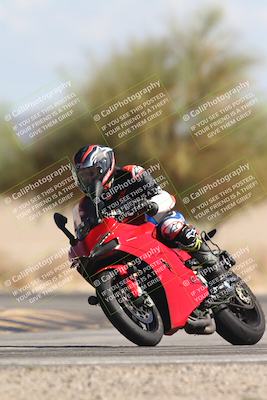 media/Oct-13-2025-Moto Forza (Mon) [[a66d839500]]/3-B Group/Session 4 Turn 4 Tree of Life/